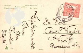 Neznámý umělec / nepopsáno - CZ 1919 95 005 ●